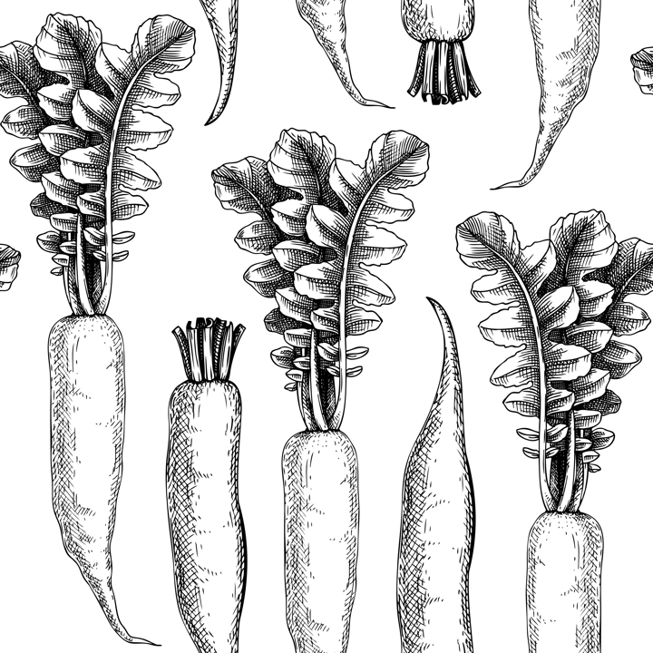 Fresh daikon radish seamless pattern. Garden vegetable background. Root vegetable backdrop hand-sketched daikon plants. Vector illustration of raw cultivated radish.